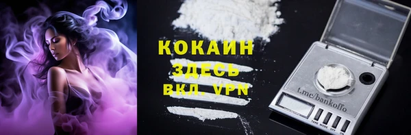 Альфа ПВП Верея