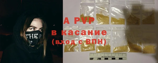 PSILOCYBIN Верхний Тагил