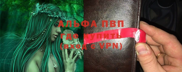 Альфа ПВП Верея