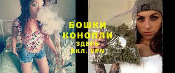 PSILOCYBIN Верхний Тагил